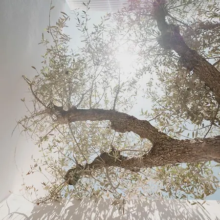 Hotel Cubic Mykonos Seafront Design