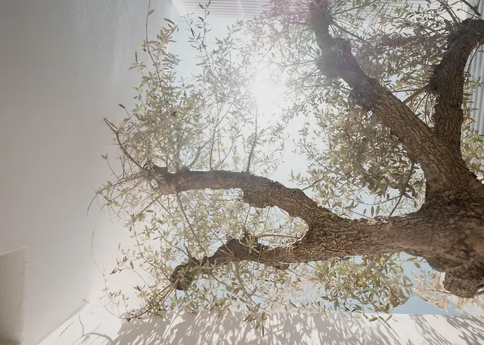 Hotel Cubic Mykonos Seafront Design