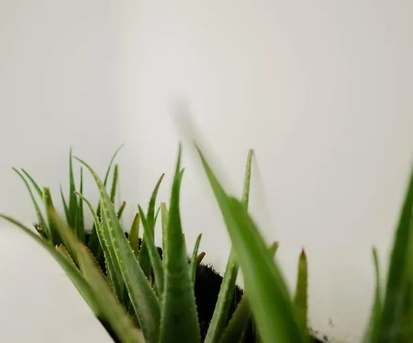 Cubic Mykonos Seafront Design